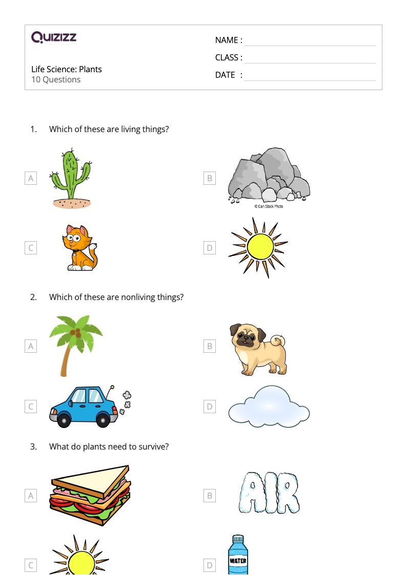 50 Life Science Worksheets For 1st Class On Quizizz Free 