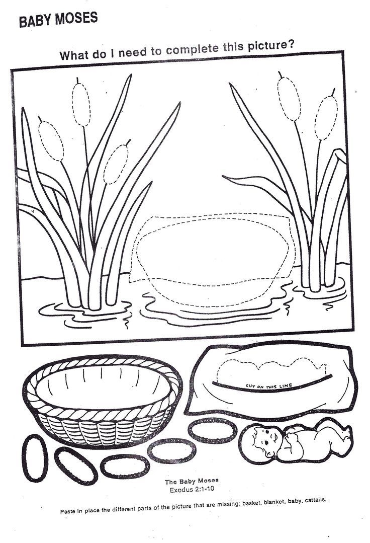 Baby Moses Worksheets Bing