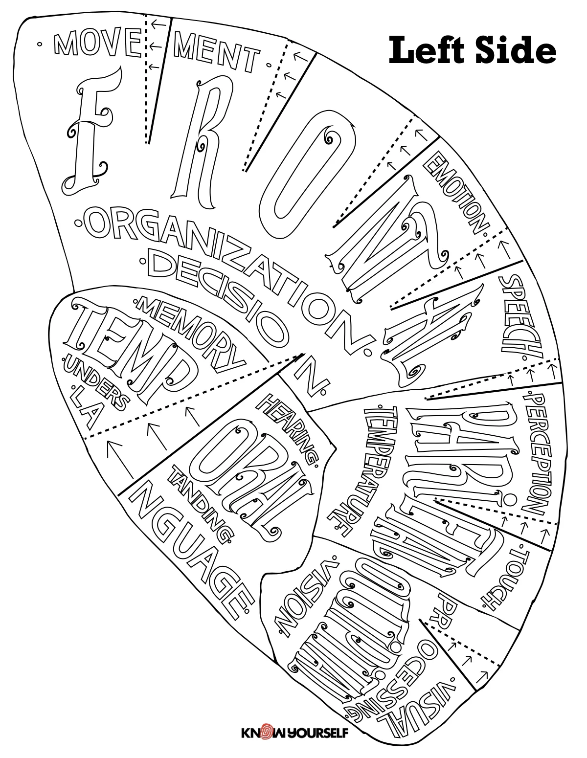Create A Wearable Brain Cap Free Educational Resource Know 