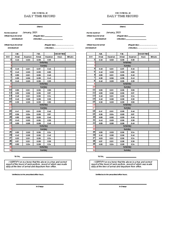 Dtr Excel Template PDF