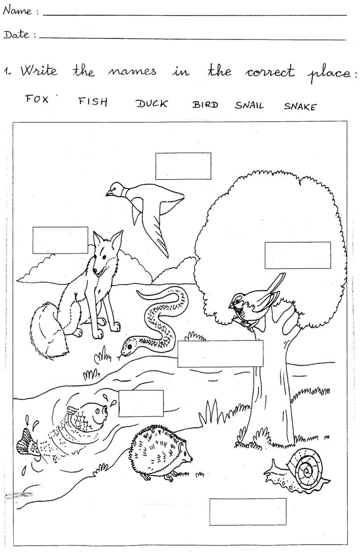 Free And Printable 1st Grade Worksheets