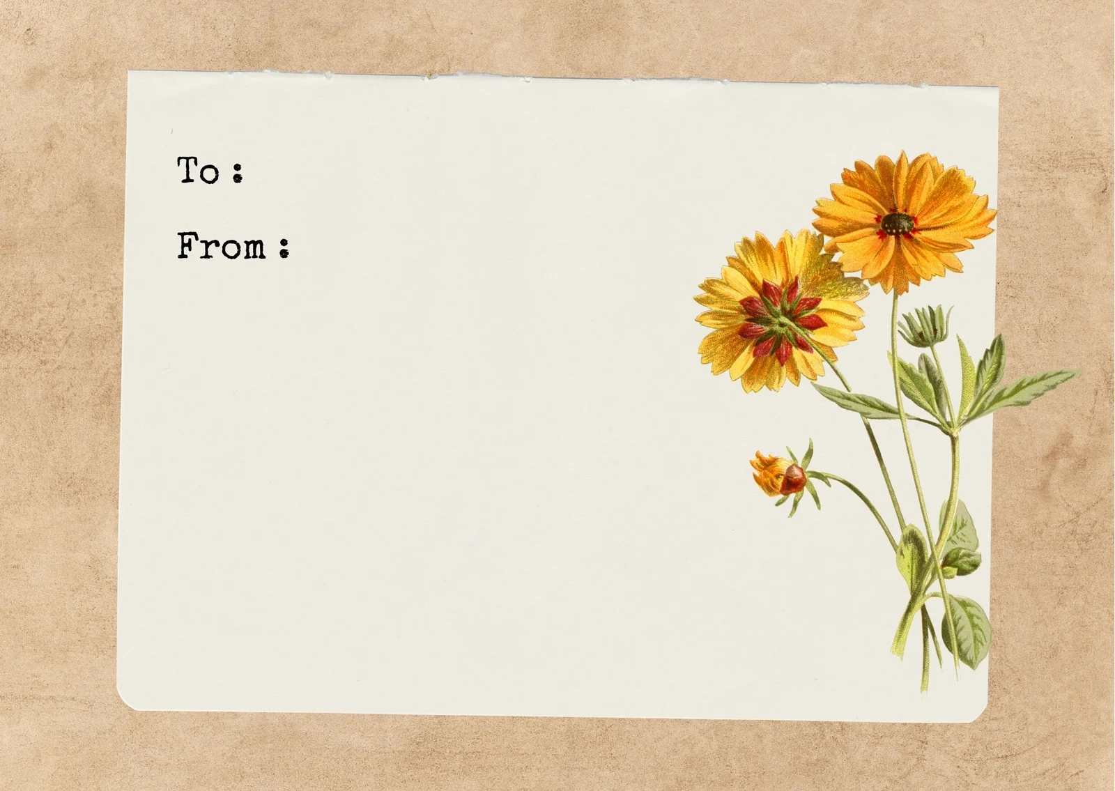 Printable Card Template Free