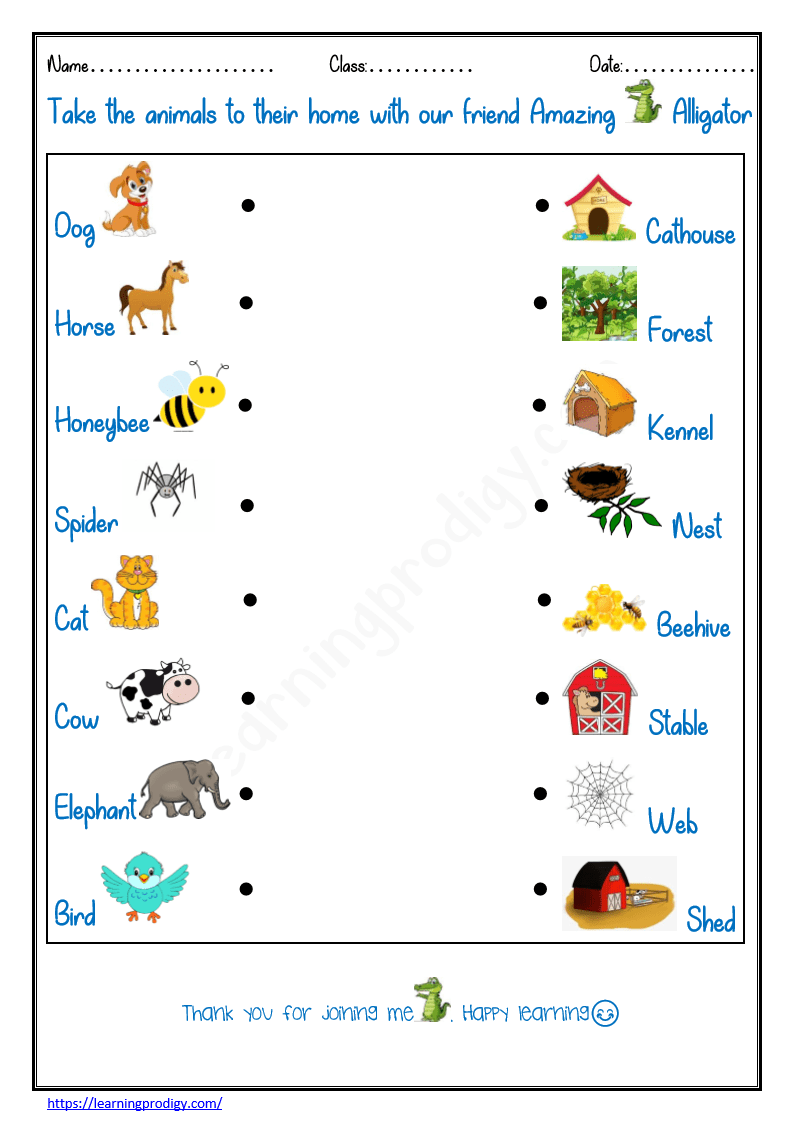 1st Grade Printable Worksheets Science