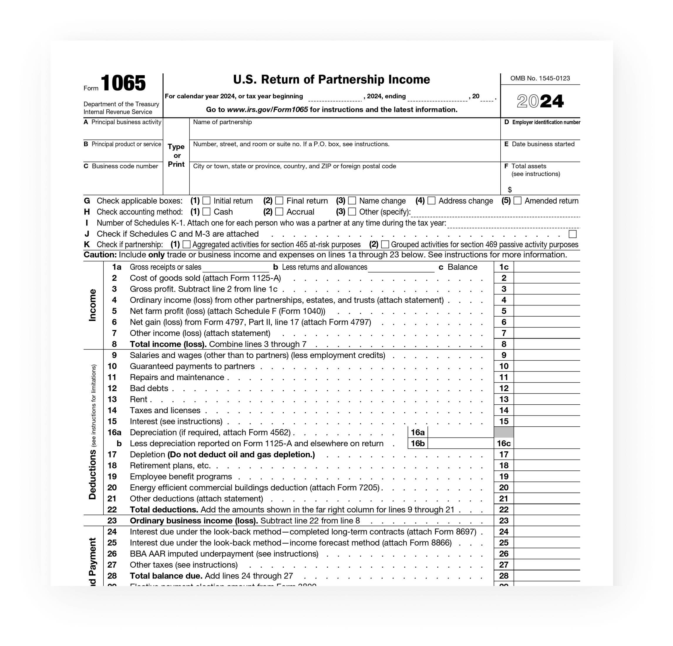 Irs Llc Tax Form 2024