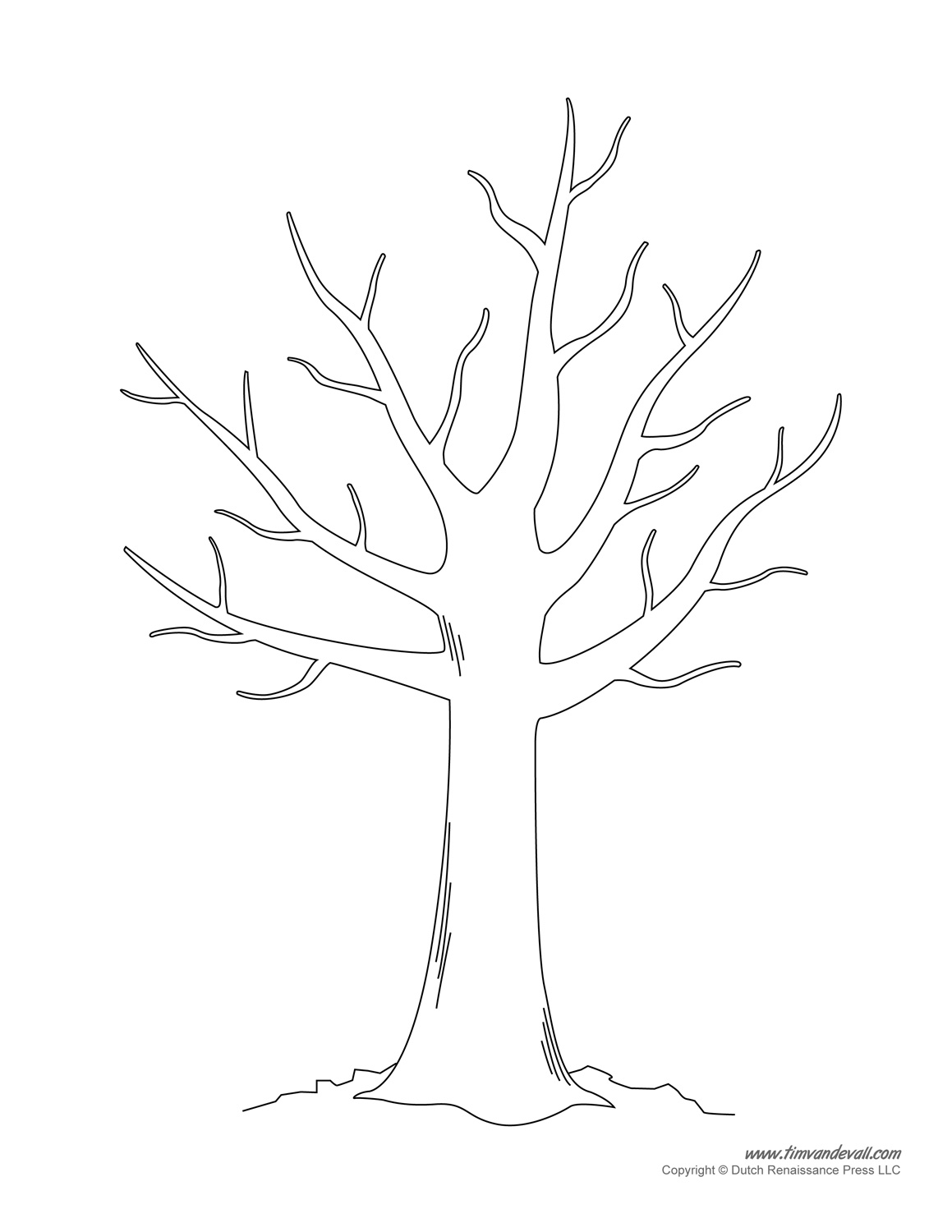 Tree Templates Tree Printables Worksheets Library