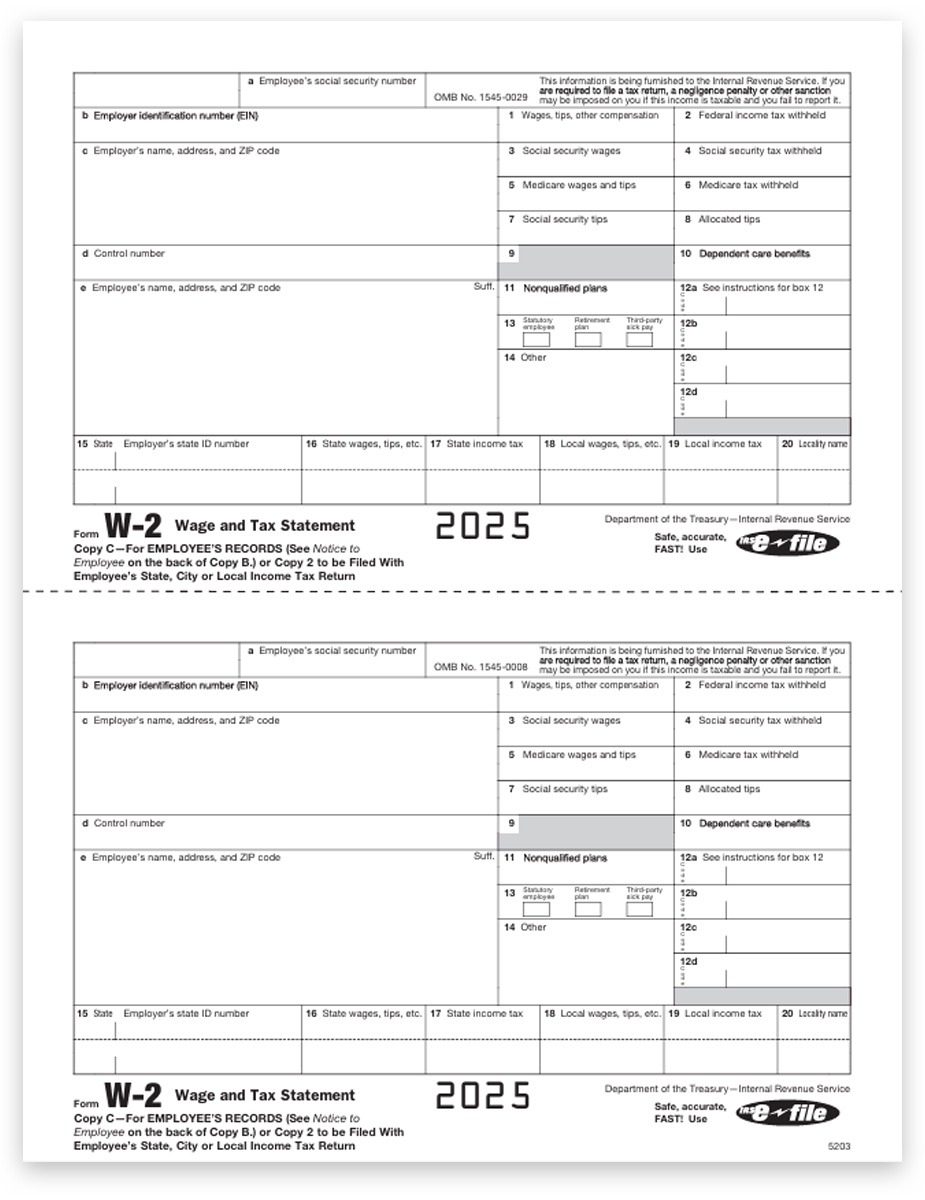 W2 Printable Form 2020 Fillable