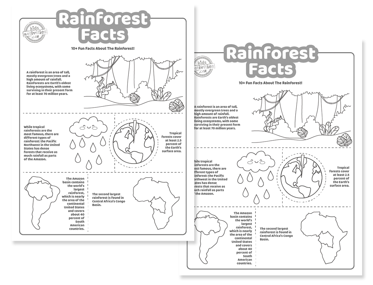 10 Rainforest Facts For Kids Printable Worksheets Kids 