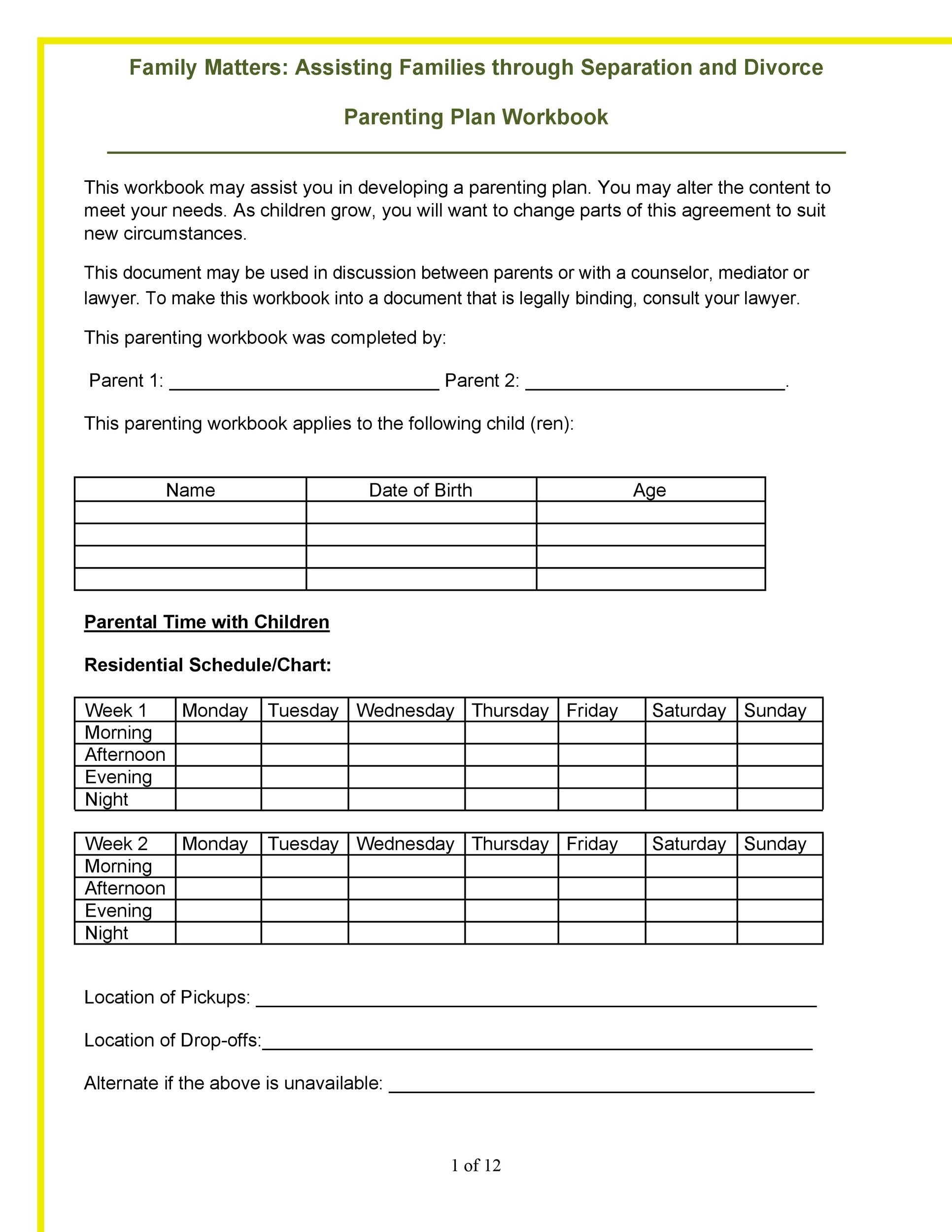 Printable Parenting Plan Template