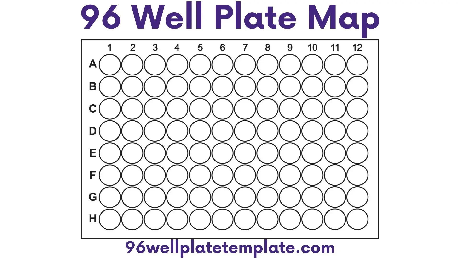 96 well plate map download free 96 well plate template