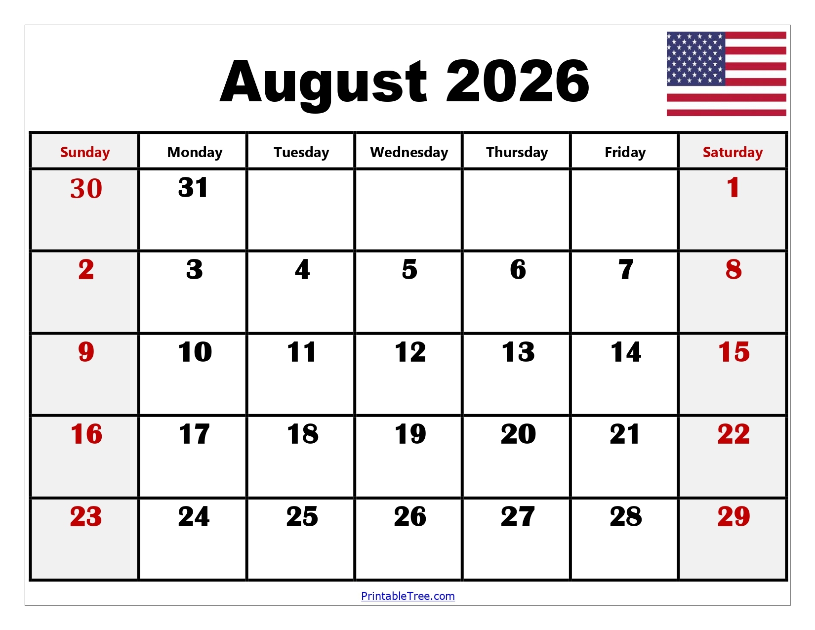 Blank Calendar Page August 2026