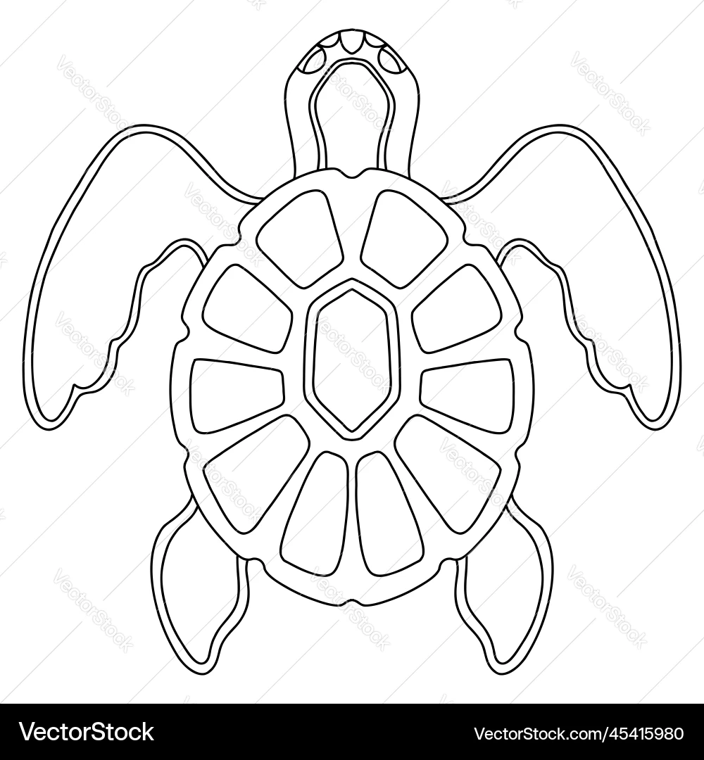 Beautiful Sea Turtle Coloring Template Royalty Free Vector