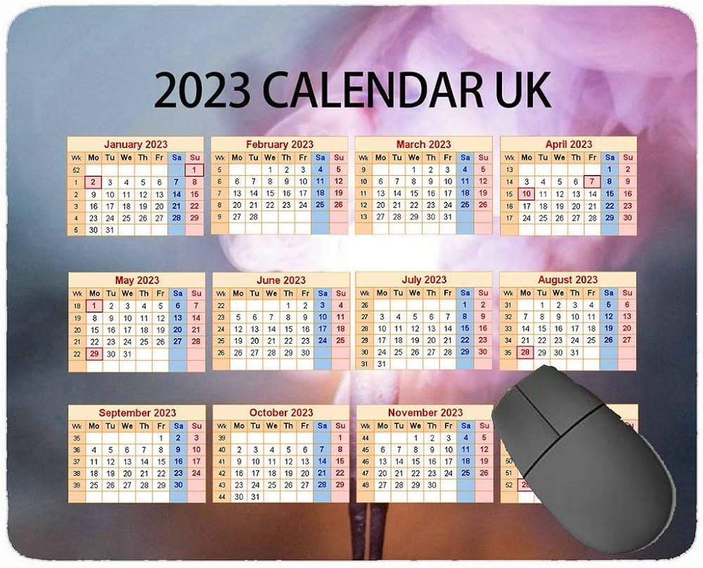 Schedule 5 Form 2023