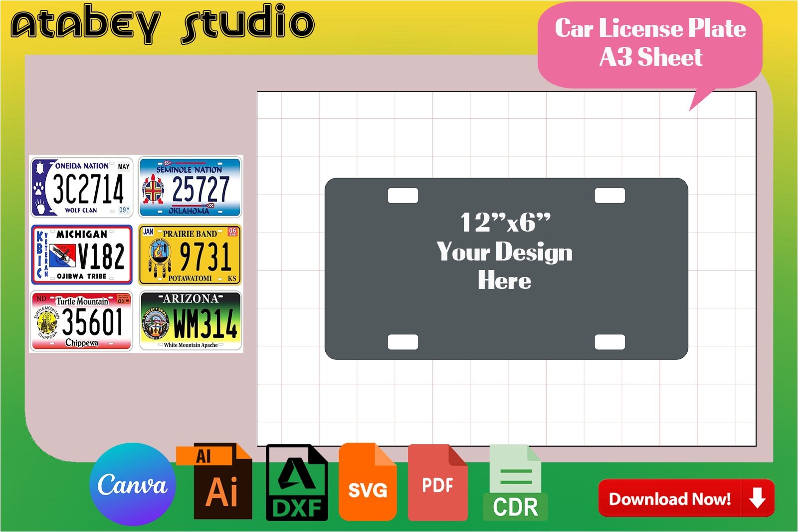 Editable Printable License Plate Template
