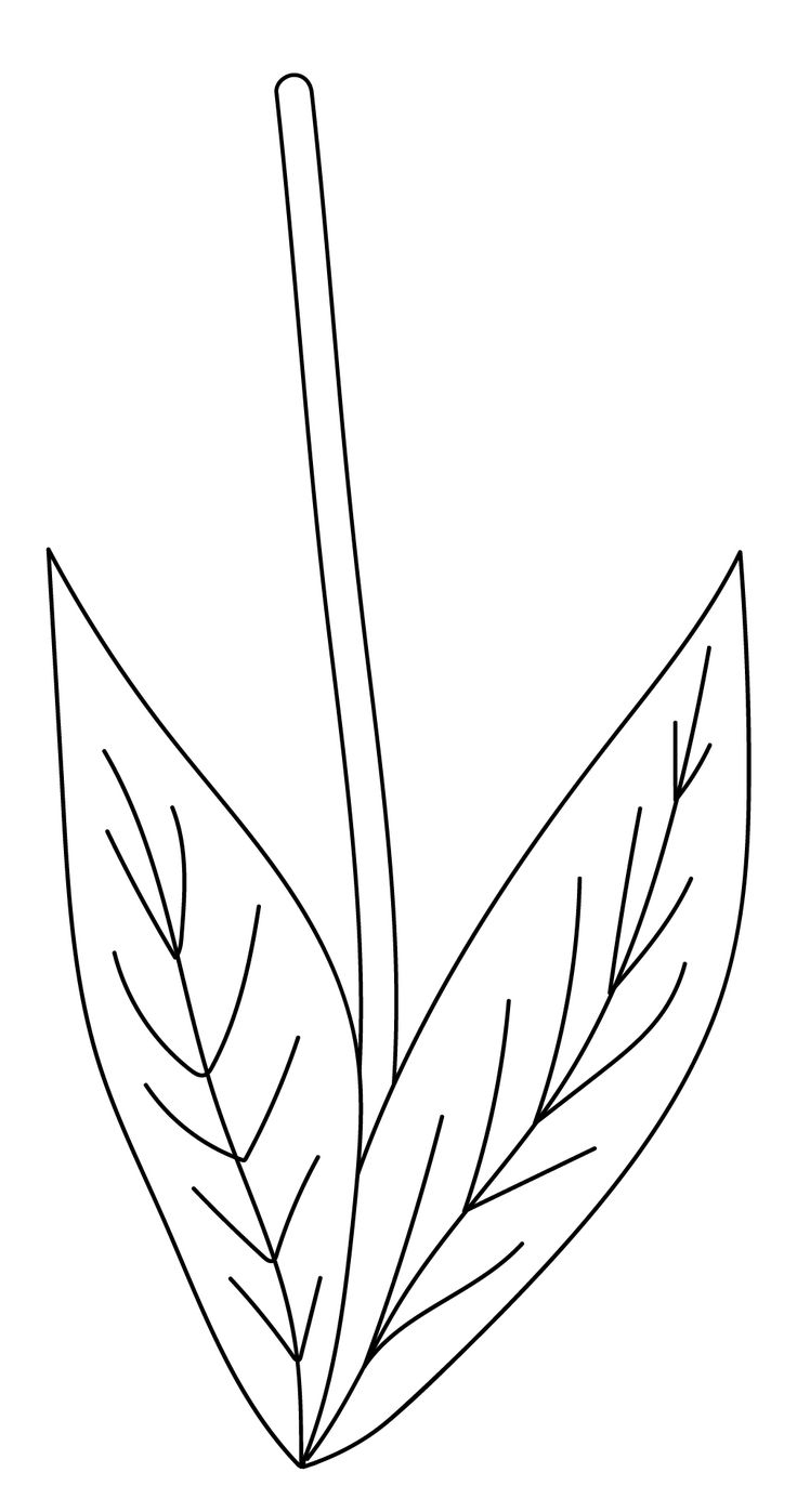 Flower Stem Template Printable Free