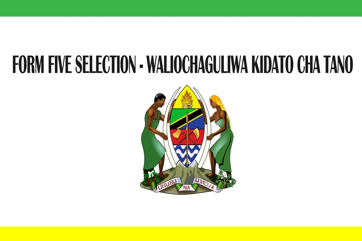 Form Five Selection 2024 To 2025