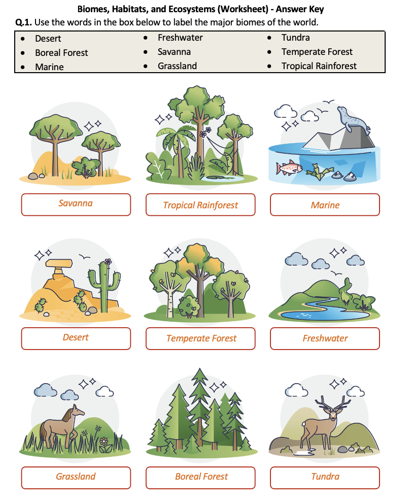 Free Free Printable Ecosystem Worksheet Download Free Free 