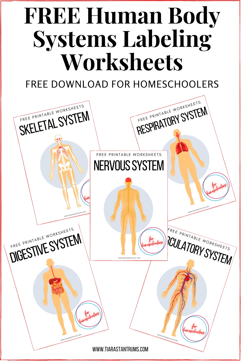 FREE Human Body Systems Labeling Worksheets Tiaras amp Tantrums