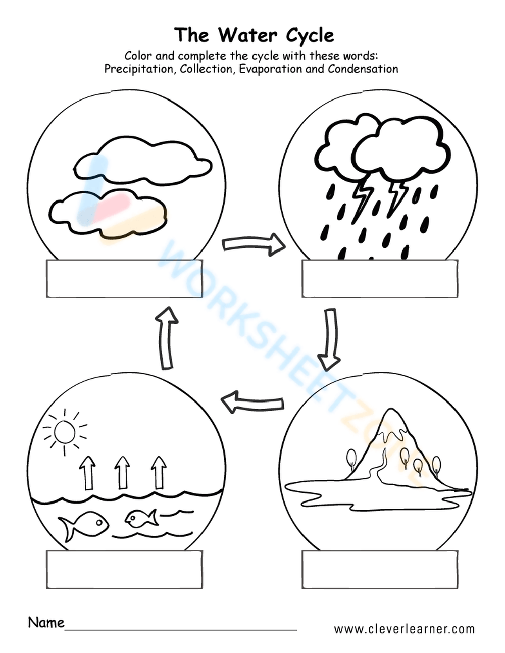 Free Printable Water Cycle Worksheets