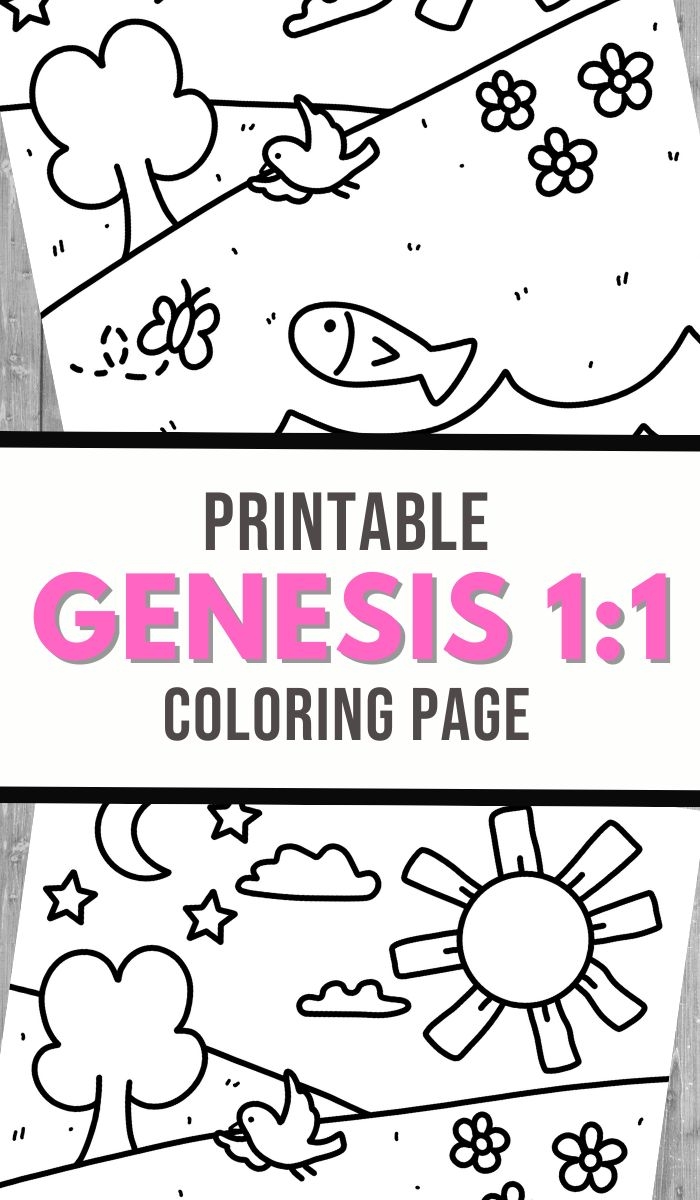 Free Printable Bible Worksheets Genesis
