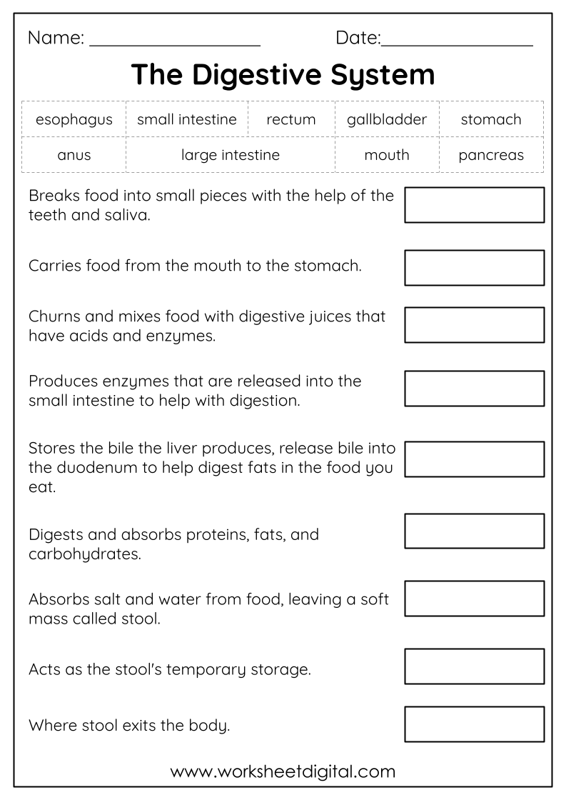 Free Printable Science Worksheets For Grade 3