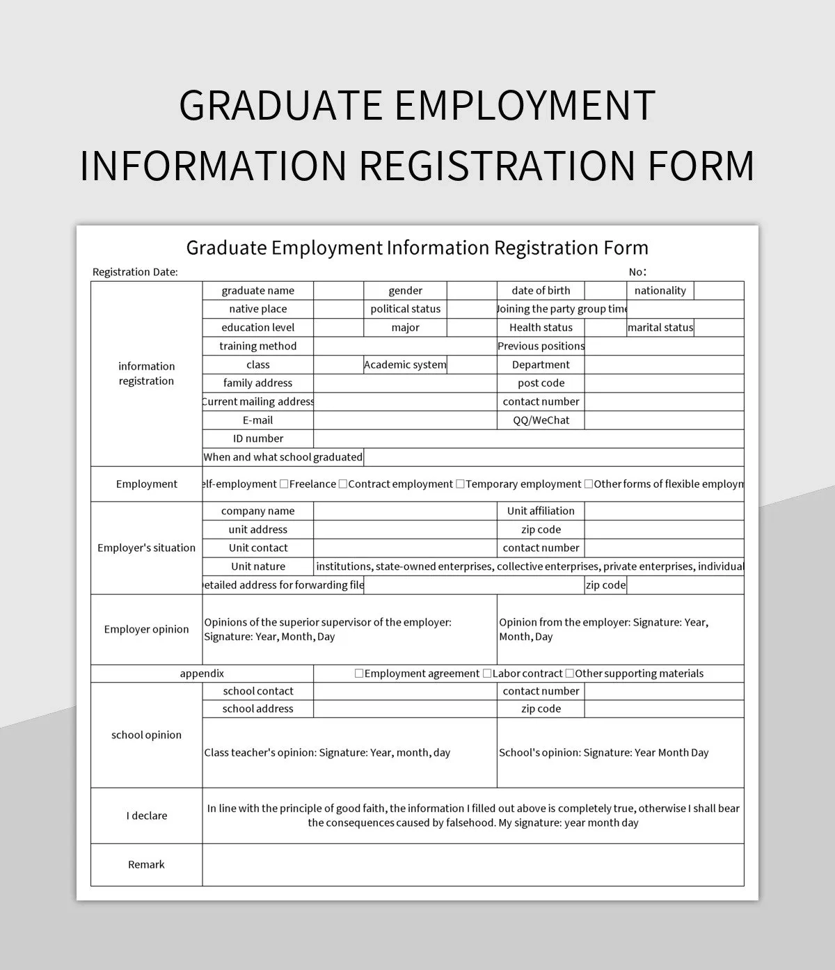 Graduate Employment Information Registration Form Excel Template 