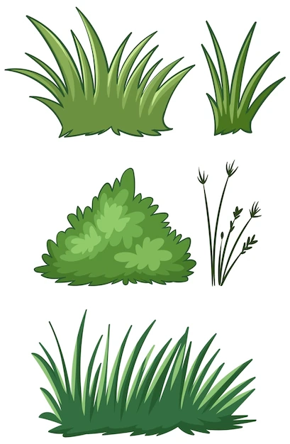 Grass Printable Images Free Download On Freepik