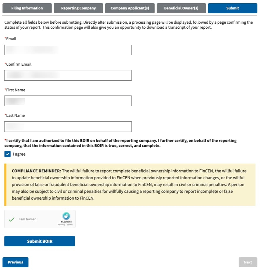 Boi Form Irs Pdf Download