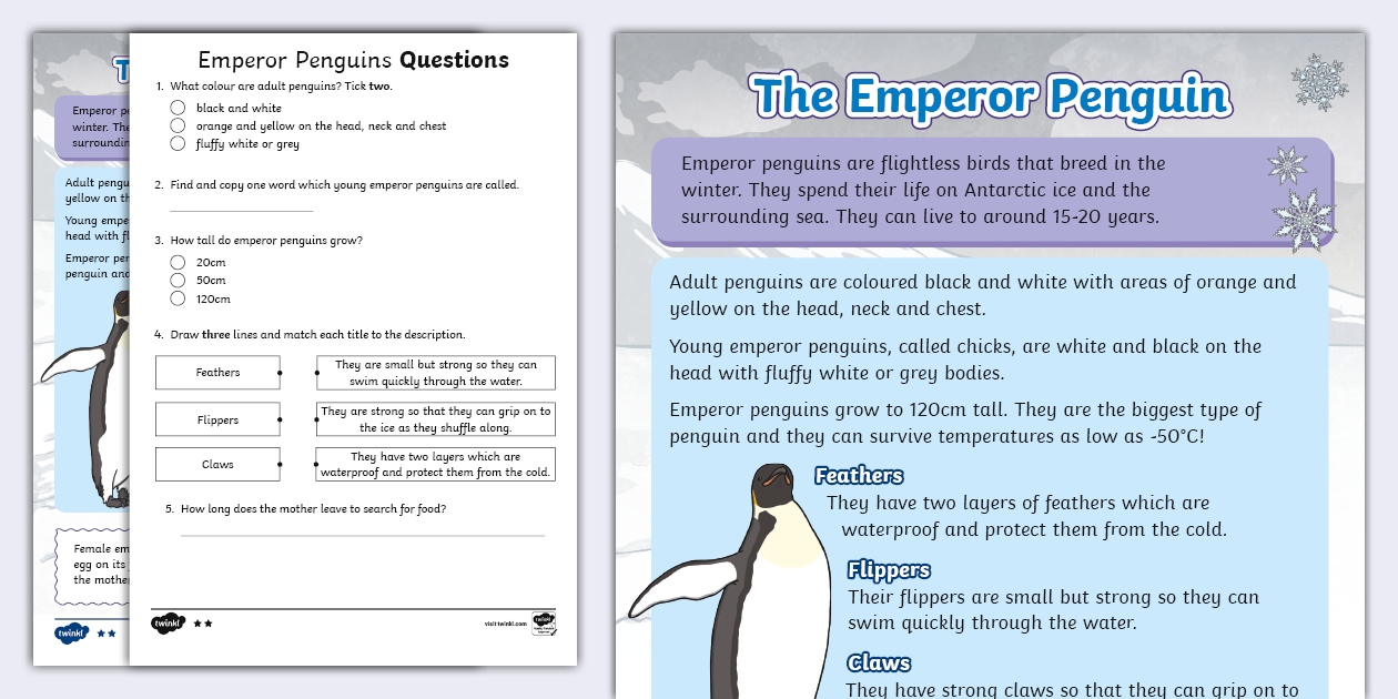 KS1 Emperor Penguin Reading Comprehension Worksheet