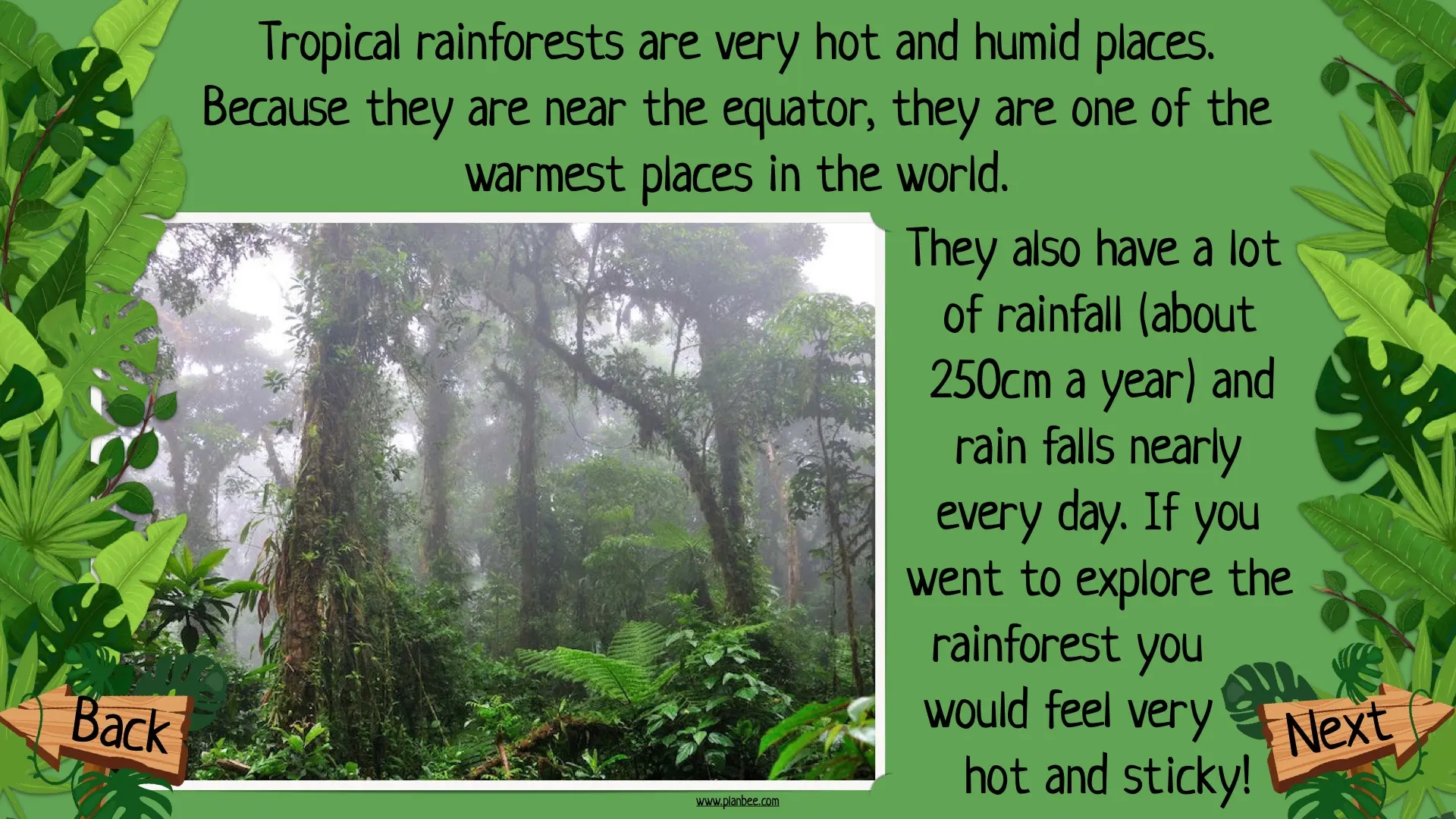 Rainforest Information For Kids Printable