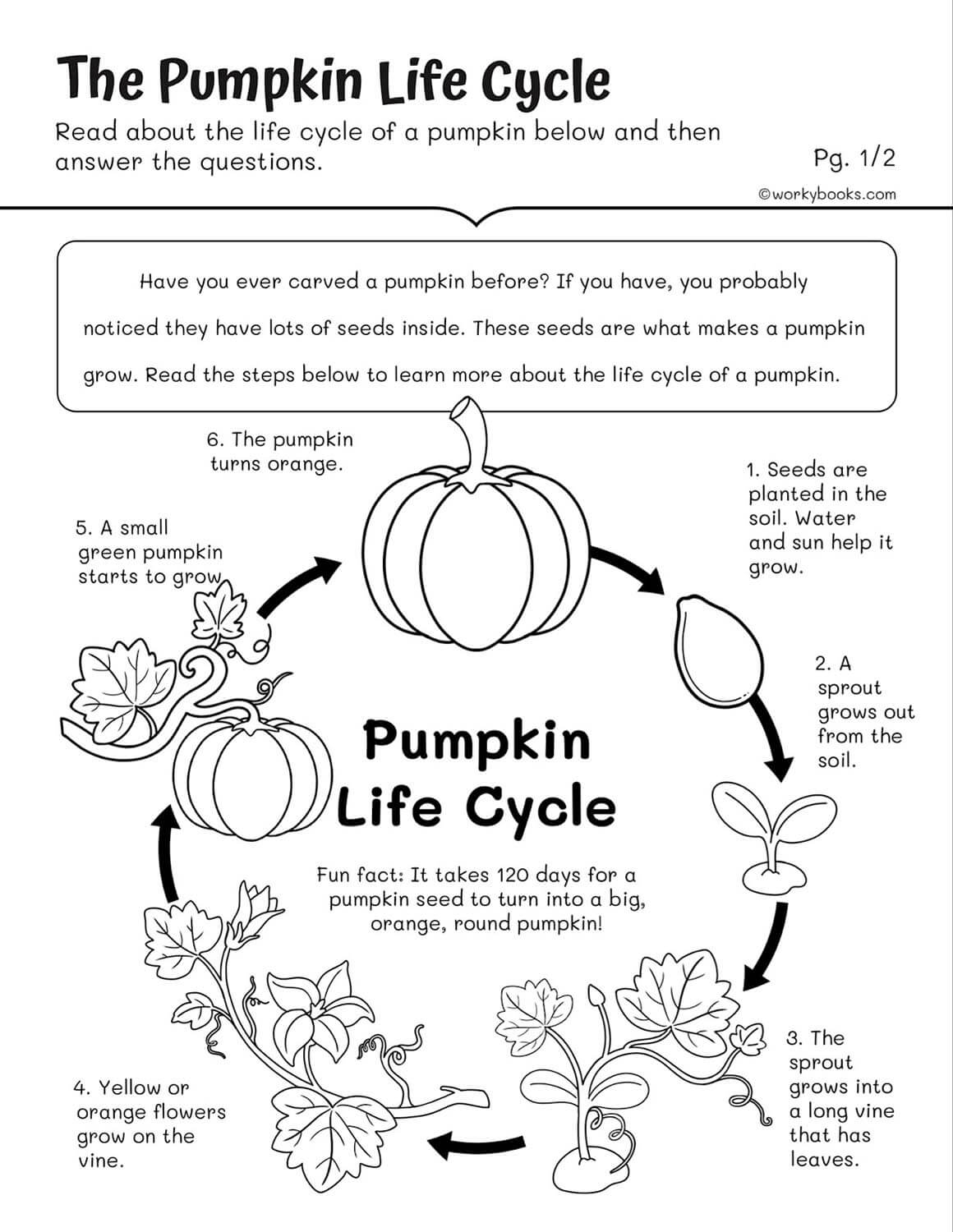 Free 3rd Grade Science Worksheets Printable
