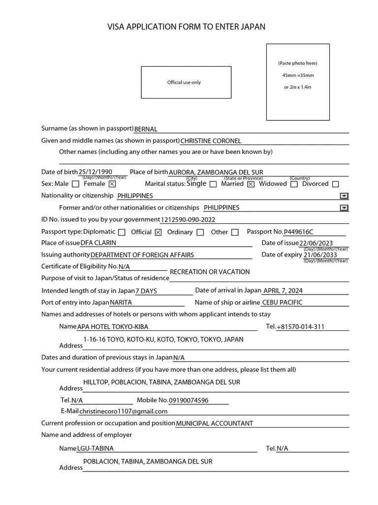 NEW Visa Application Form A4 Size 2023 PDF Travel Visa Passport