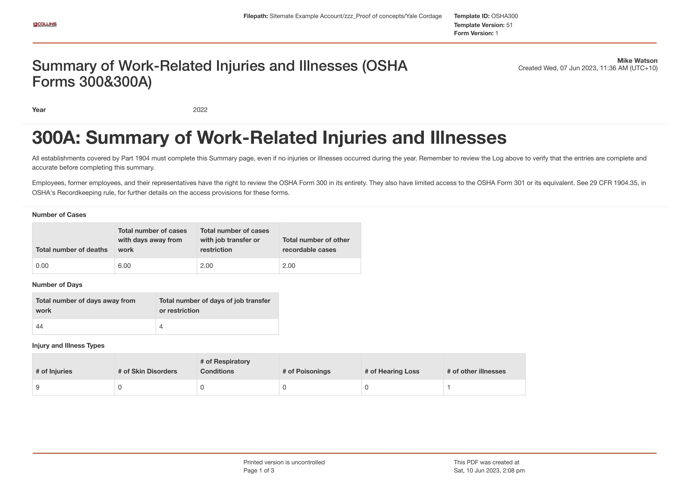 OSHA 300 Log amp 300a Form Blank Fillable And Printable Pdf Export