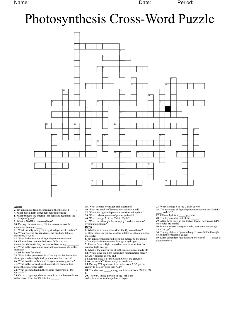 Free Printable Crossword Puzzles Photosynthesis