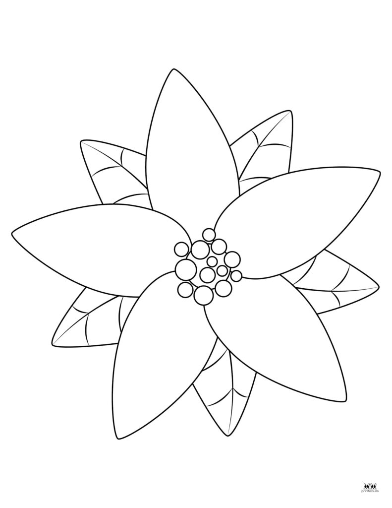Printable Poinsettia Template
