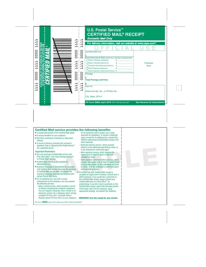 What Is Irs Form 3800