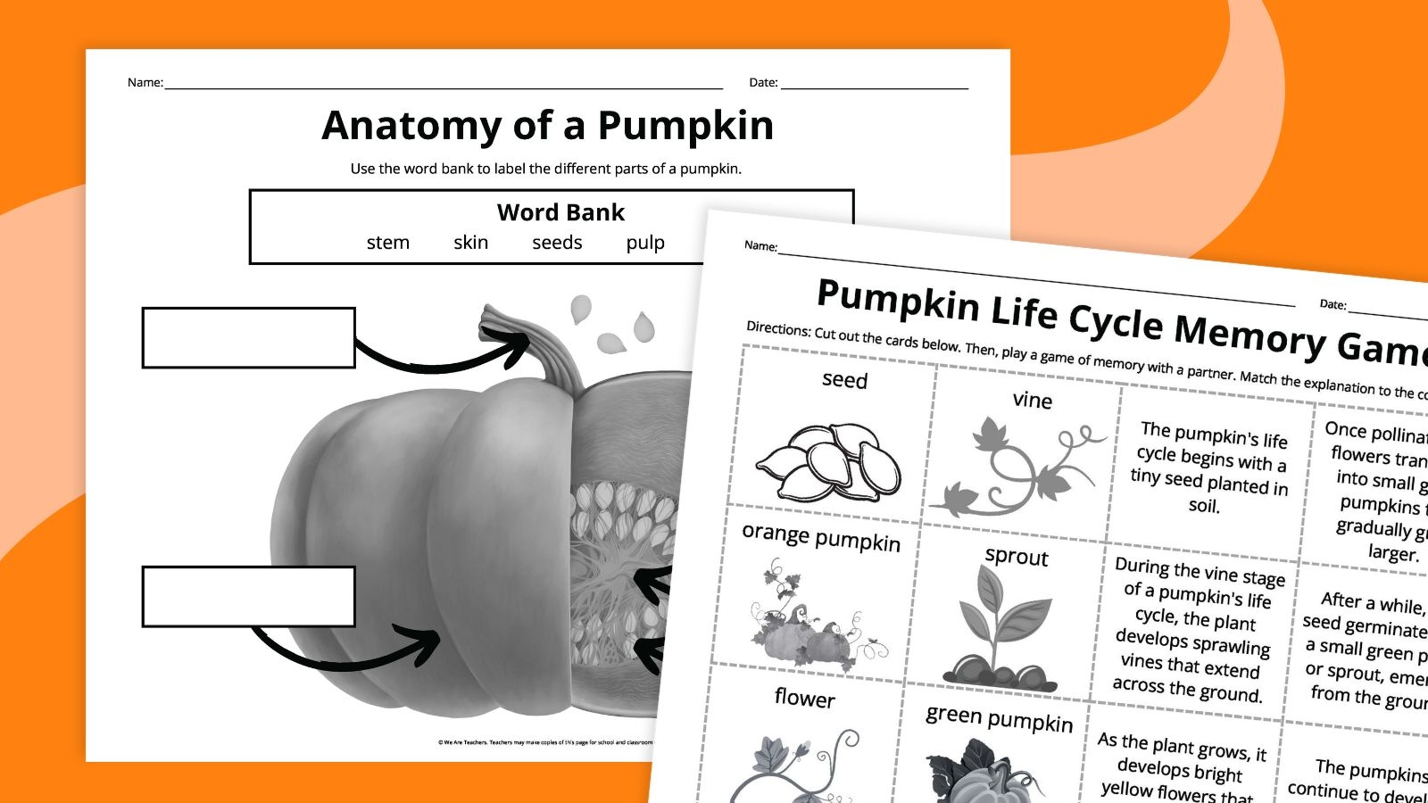 Free Pumpkin Worksheets Printable