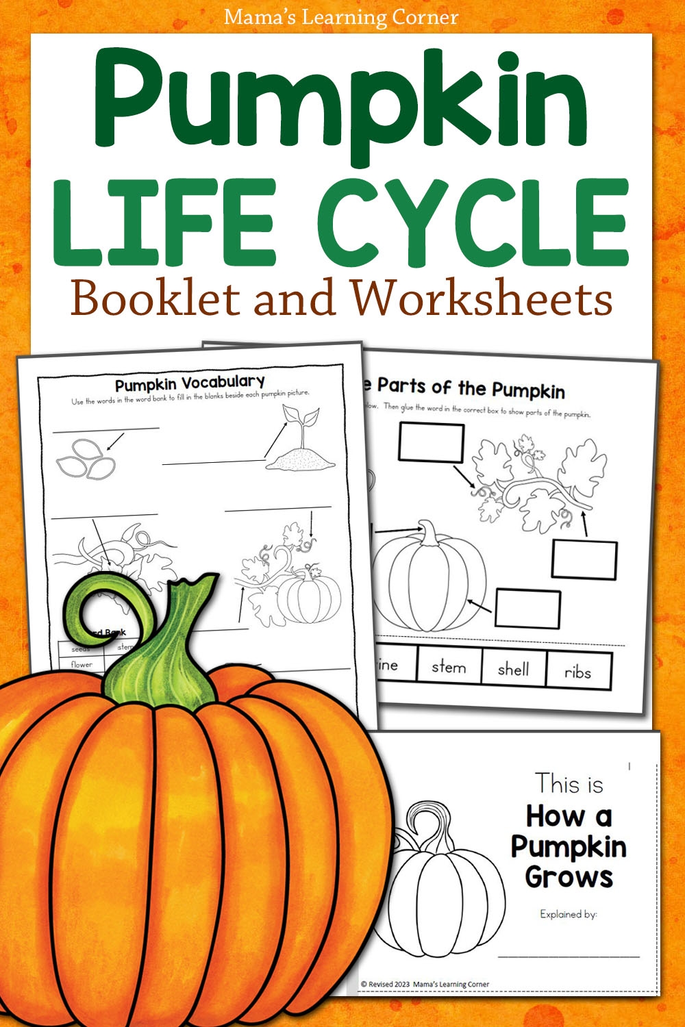 Free Printable Pumpkin Life Cycle Worksheet