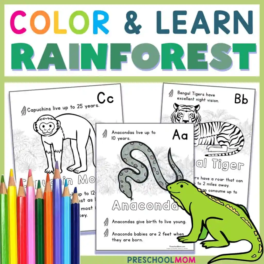 Free Rainforest Printables For Preschool