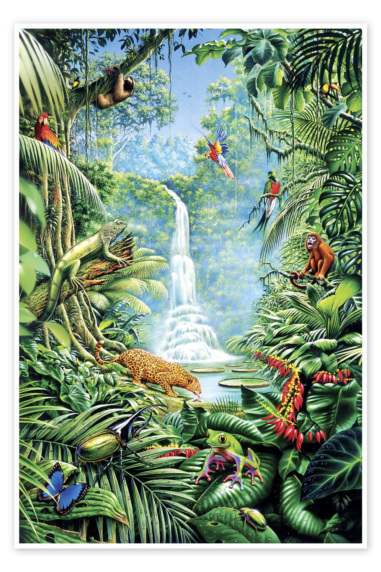 Tropical Rainforest Printable Images