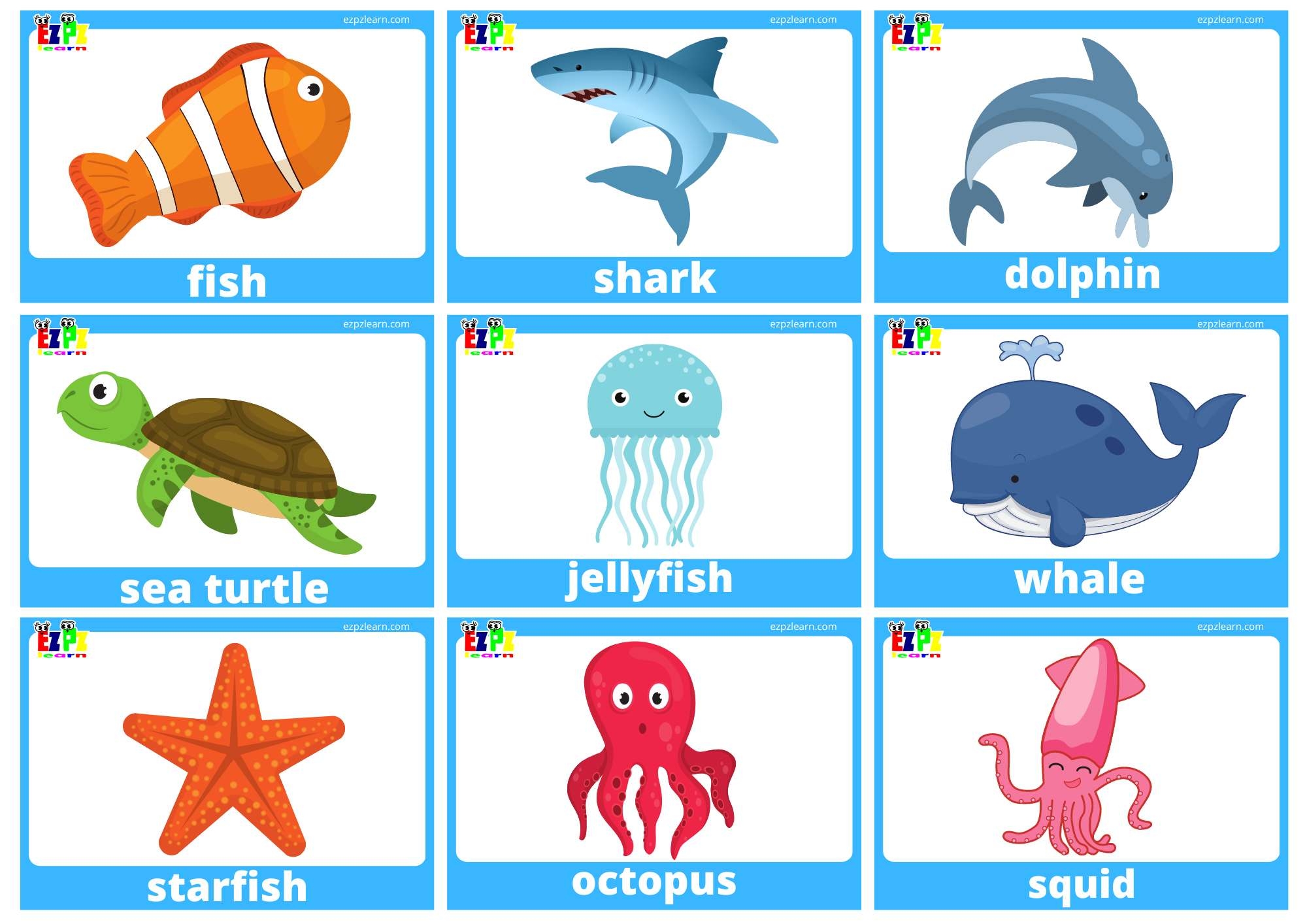 Sea Animal Flashcards With Words Use Online Or PDF Download 15 