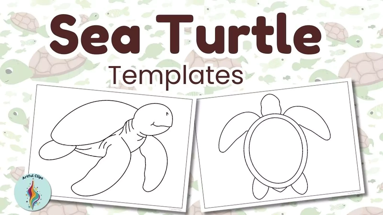 Sea Turtle Template Set Simple Black And White Outlines
