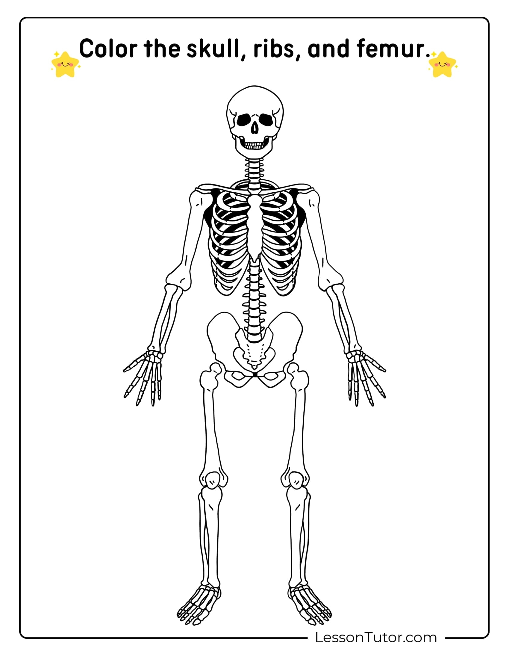 Skeleton System Worksheets Free Coloring Pages PDF Printables 